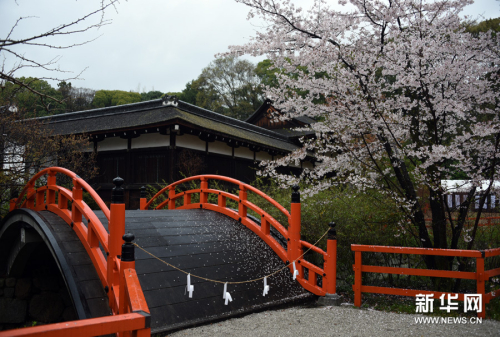 莫負(fù)人間四月天 莫負(fù)人間四月天