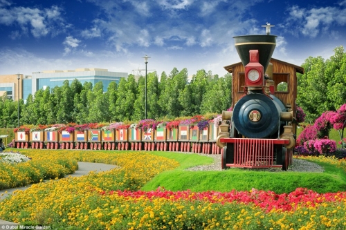 迪拜辦世界最大花卉展 迪拜辦世界最大花卉展