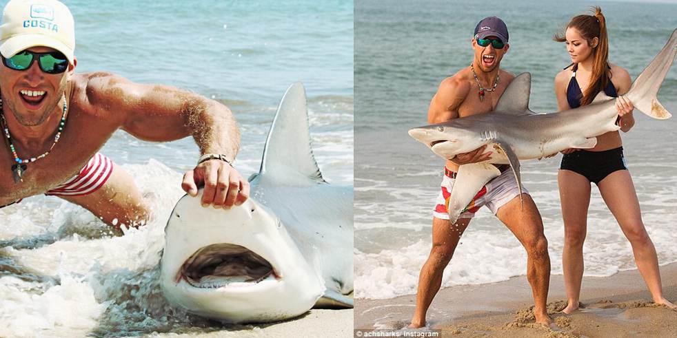 男子徒手抓鯊魚走紅網(wǎng)絡(luò) 男子徒手抓鯊魚走紅網(wǎng)絡(luò)