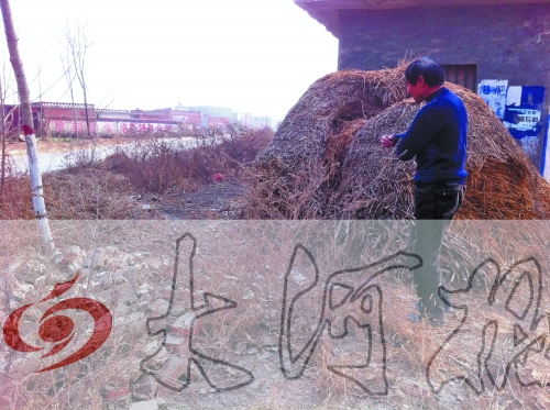 張哥、張弟就是在這兒撿到的投毒面包。