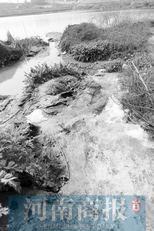 污水排放量較以前增加了不少 鄧萬(wàn)里/攝 污水排放量較以前增加了不少 鄧萬(wàn)里/攝