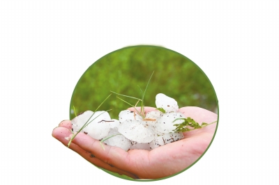 冰雹化了一些,還有這么大。