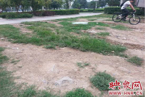 公園內(nèi)大片草坪遭到破壞。