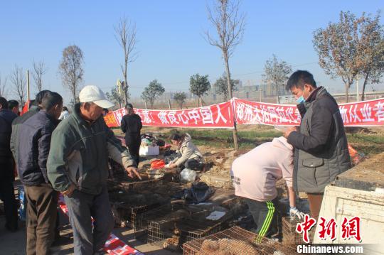 圖為百余名愛狗人士把老李的貨車攔截，數(shù)十人正在從貨車上卸下裝滿狗的鐵籠。　馬義恒　攝