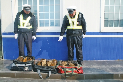 民警查獲的乘客行李包中，裝的全是獼猴。