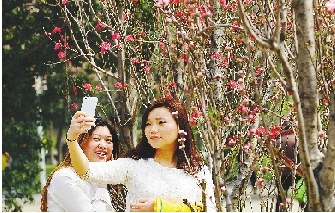 市民在公園與花合影。