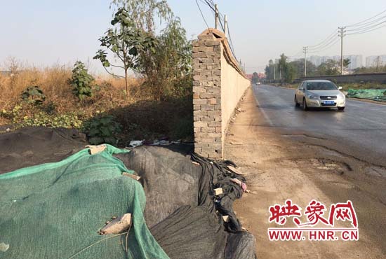 一墻之隔，一邊是道路，一邊是垃圾和荒草，市民質(zhì)疑其為遮羞墻。