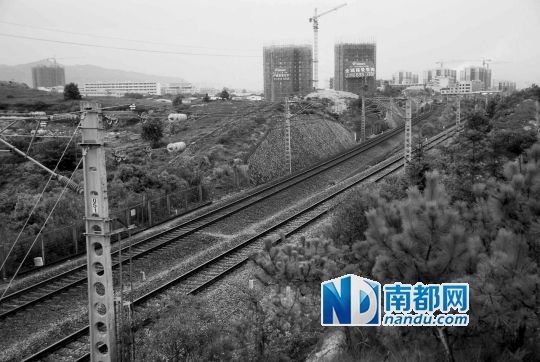 　東源縣法院院長(zhǎng)被火車(chē)撞亡事發(fā)地段。