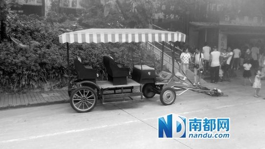 園方則稱解剖后發(fā)現(xiàn)馬死于心臟衰竭，“與累無關(guān)”。