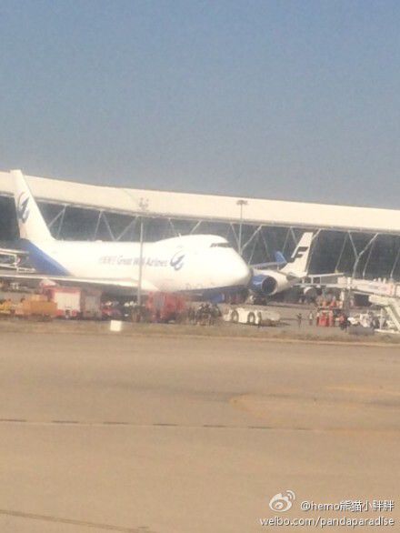 圖說：發(fā)生事故的飛機(jī)。圖片來源：新浪微博網(wǎng)友圖（請(qǐng)私信“新民晚報(bào)新民網(wǎng)”以奉稿酬）