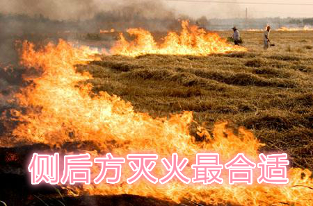 不要在風(fēng)頭上打火：風(fēng)正大，火正旺，最容易傷人；