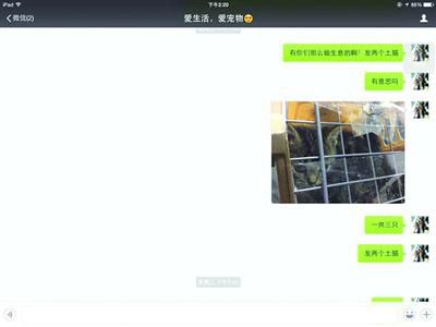 買家發(fā)現(xiàn)上當受騙，賣家叫囂“報警也沒用”。