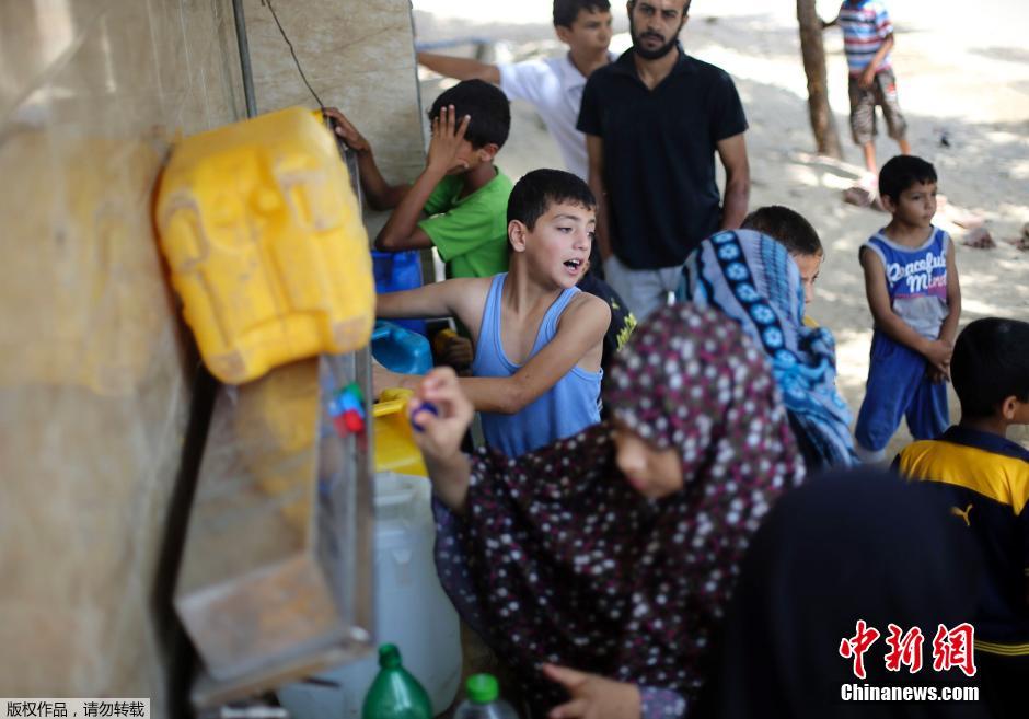 以色列對加沙發(fā)動地面進(jìn)攻 民眾攜羊群逃難