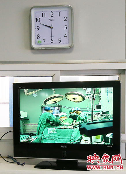 由于扎入大龍顱內的針位置較深，所以經過七次定位才取出,圖為監(jiān)視器中手術場景