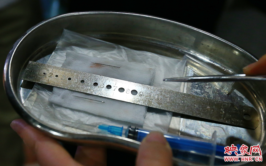 大龍顱內取出的鋼針（上）和小龍顱內的一樣（下），均為2.5厘米