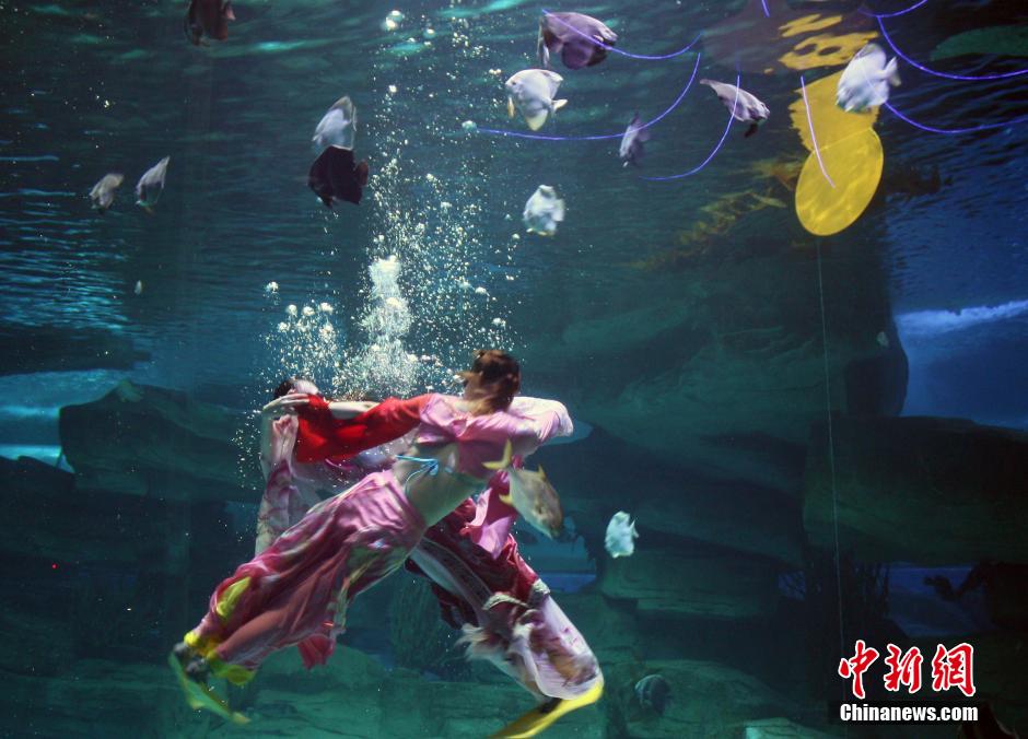 9月7日，在中秋節(jié)到來前一天，山東泉城海洋極地世界為游客帶來“嫦娥水中奔月”表演。