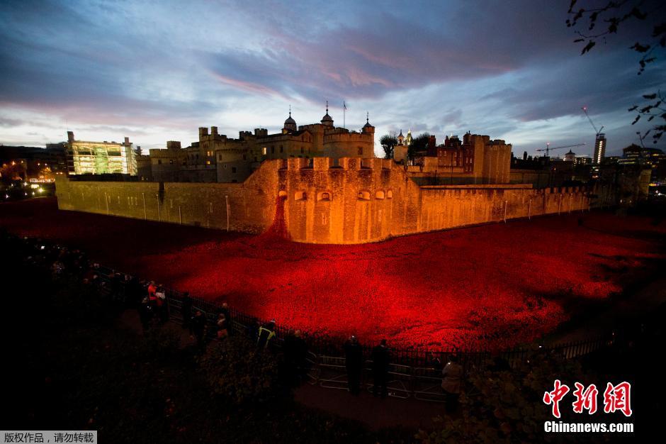 當(dāng)?shù)貢r(shí)間2014年11月10日，英國(guó)倫敦，倫敦塔周邊“種植”了888246朵陶瓷材質(zhì)的罌粟花，以此紀(jì)