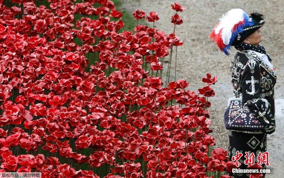 當(dāng)?shù)貢r(shí)間2014年11月10日，英國(guó)倫敦，倫敦塔周邊“種植”了888246朵陶瓷材質(zhì)的罌粟花，以此紀(jì)