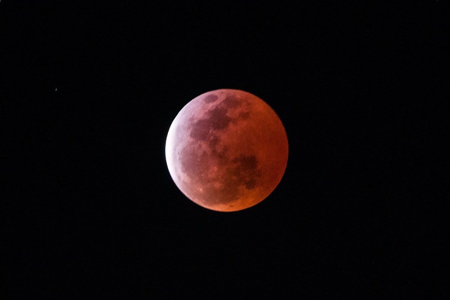 4月4日，福州上空出現(xiàn)紅月亮。楊婀娜/CFP