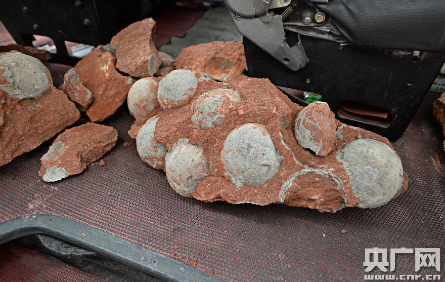 其中完整的19枚，都是直徑約13厘米的“大個(gè)子”。