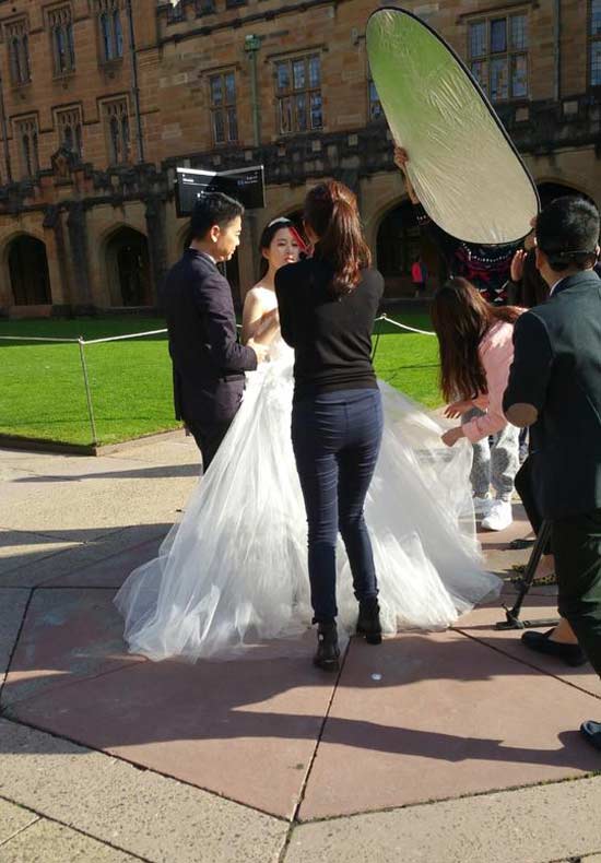 劉強東奶茶妹被曝悉尼拍婚紗照 劉強東奶茶妹被曝悉尼拍婚紗照