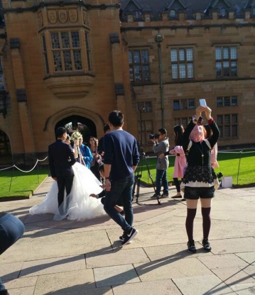 劉強東奶茶妹被曝悉尼拍婚紗照 劉強東奶茶妹被曝悉尼拍婚紗照