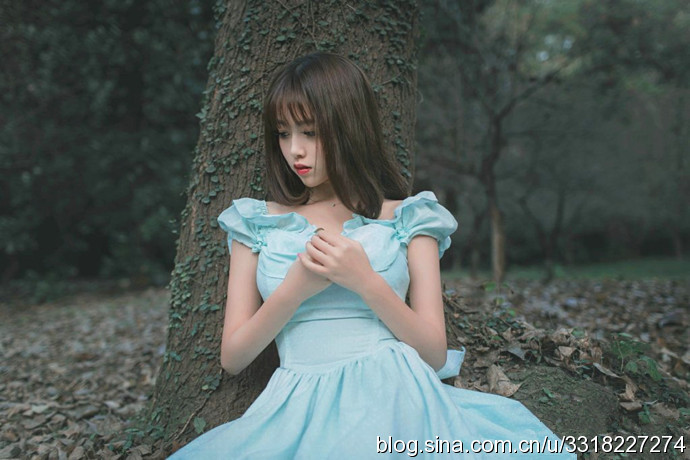 民航大學(xué)最美?；ㄋ秸掌毓? width=