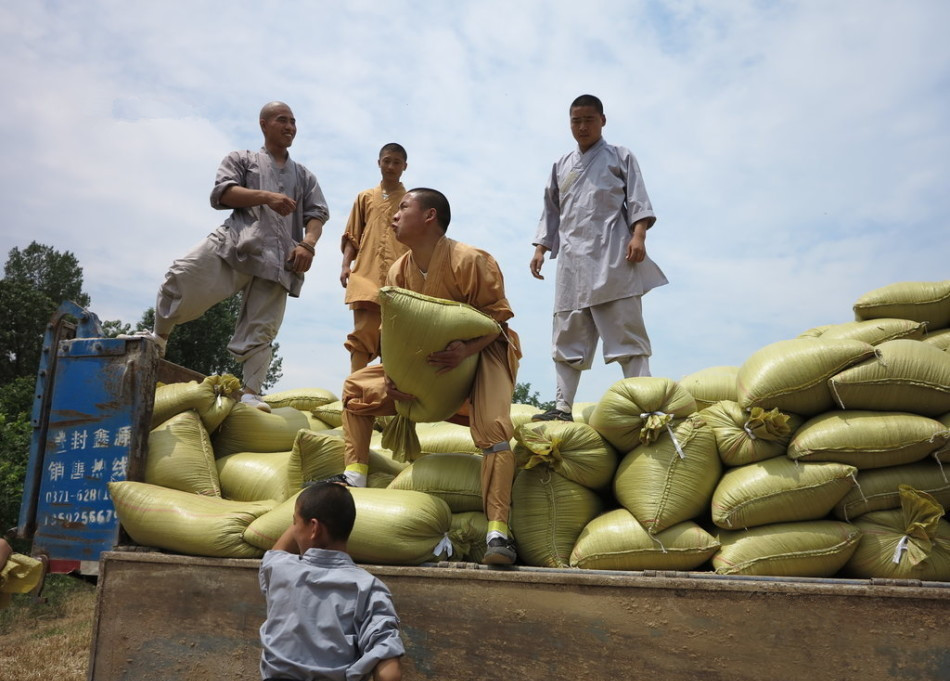 武僧將打包后的糧食集中至運(yùn)輸車輛上。