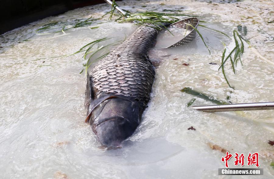 “魚王”在3米大鍋內(nèi)烹飪。 圖片來(lái)源：CFP視覺(jué)中國(guó)