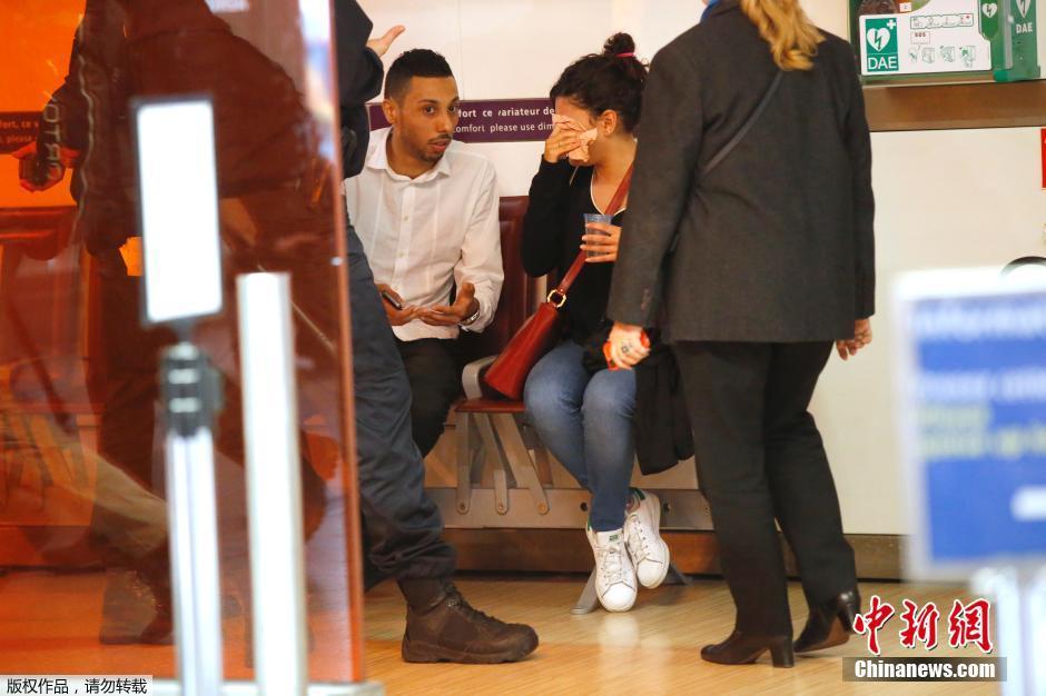 載66人埃航失聯(lián)客機(jī)墜毀 同線(xiàn)航班當(dāng)晚照常起飛