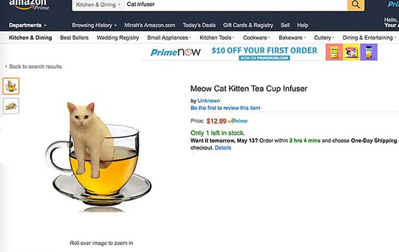 喵星人奇葩坐姿遭惡搞 網(wǎng)友腦洞大開(kāi) 喵星人奇葩坐姿遭惡搞 網(wǎng)友腦洞大開(kāi)