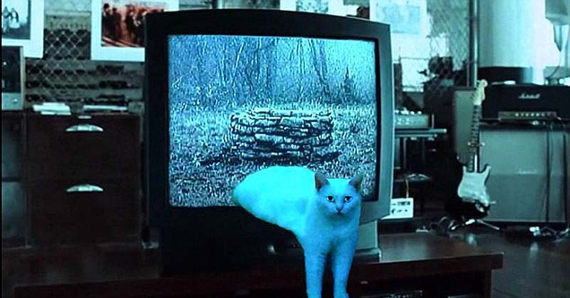 喵星人奇葩坐姿遭惡搞 網(wǎng)友腦洞大開(kāi) 喵星人奇葩坐姿遭惡搞 網(wǎng)友腦洞大開(kāi)