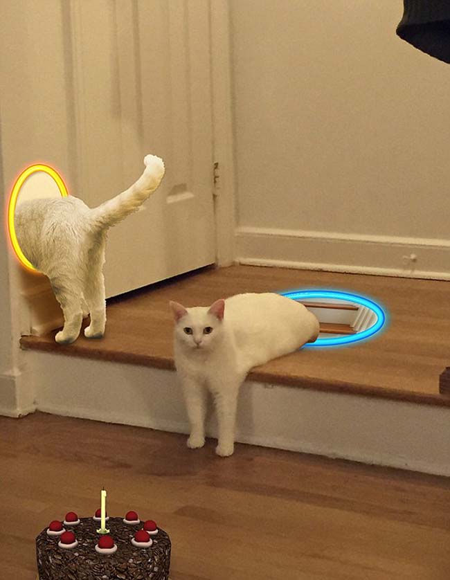 喵星人奇葩坐姿遭惡搞 網(wǎng)友腦洞大開(kāi) 喵星人奇葩坐姿遭惡搞 網(wǎng)友腦洞大開(kāi)