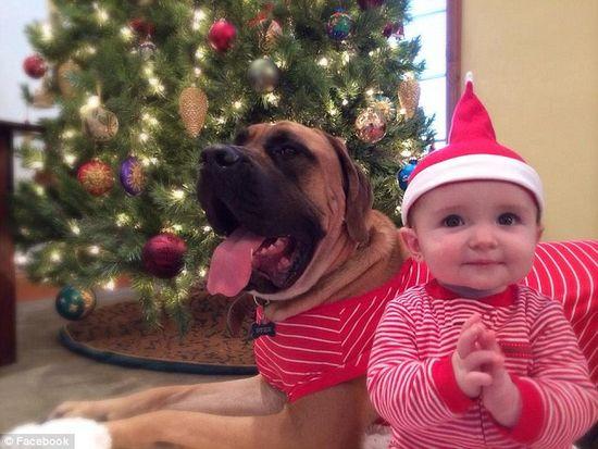 圖為美國(guó)2歲大的寵物犬與主人9個(gè)月大的女嬰。圖片來(lái)源：臉譜網(wǎng)站（Facebook）。