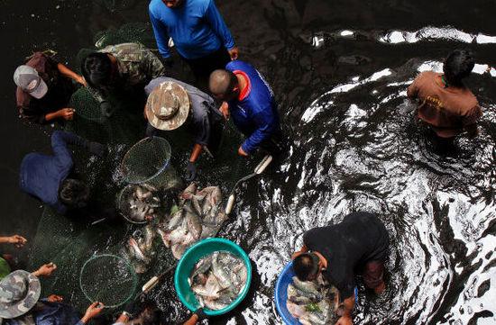 泰國當(dāng)局派人到商場(chǎng)底部捕魚（圖片來源網(wǎng)絡(luò)）