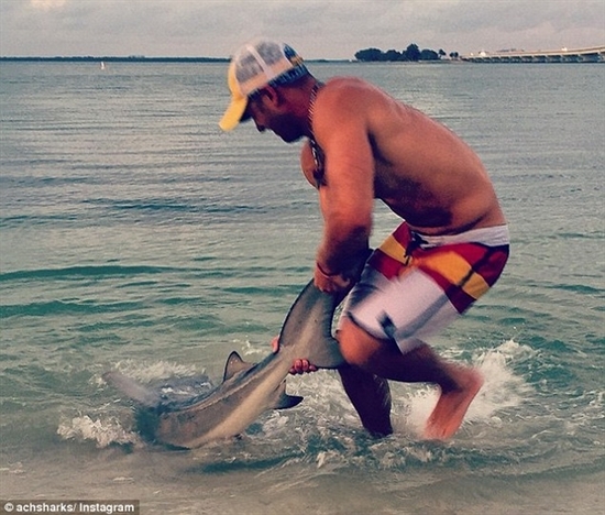 美國(guó)男子空手將360斤活鯊魚(yú)拉上岸 曾拉過(guò)88條 美國(guó)男子空手將360斤活鯊魚(yú)拉上岸 曾拉過(guò)88條