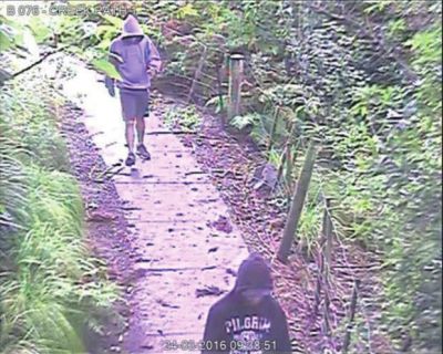 中國留學(xué)生新西蘭頻遭襲擊 警方被斥不作為 中國留學(xué)生新西蘭頻遭襲擊 警方被斥不作為