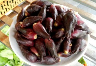 四川多個(gè)景區(qū)農(nóng)家樂賣不明野菜 野芹毒芹分不清 四川多個(gè)景區(qū)農(nóng)家樂賣不明野菜 野芹毒芹分不清