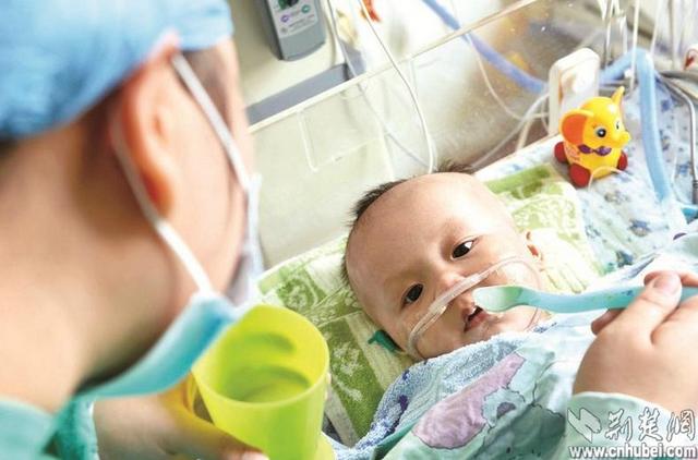 圖為：昨日武漢協(xié)和醫(yī)院隔離病房醫(yī)護人員照顧萌萌