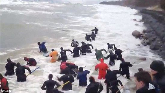 一場(chǎng)暴雨后，俄羅斯加里寧格勒Pionersky鎮(zhèn)，數(shù)十人潛入海水中搜尋琥珀。