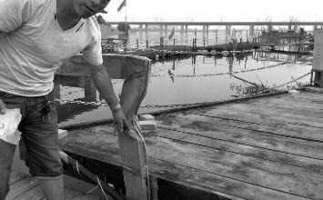 鼻孔里凝著血痂、全身多處擦傷的周先生仍有些驚魂未定。