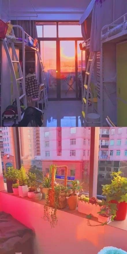 這個(gè)學(xué)校的男生宿舍火了！女同學(xué)都喊著要嫁