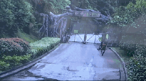 2女1男為逃票翻墻進(jìn)動物園 落地時周圍站了7只虎