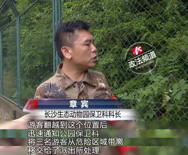 2女1男為逃票翻墻進(jìn)動物園 落地時周圍站了7只虎 2女1男為逃票翻墻進(jìn)動物園 落地時周圍站了7只虎