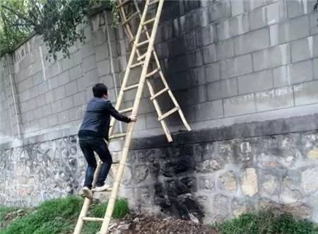 2女1男為逃票翻墻進(jìn)動物園 落地時周圍站了7只虎 2女1男為逃票翻墻進(jìn)動物園 落地時周圍站了7只虎