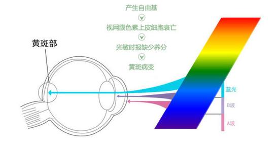 真能亮瞎眼？如何減少手機(jī)對眼睛的傷害