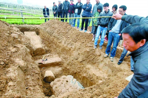 碑帽、赑屃、碑座、碑身依次排開(kāi)