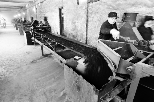 供熱鍋爐已經(jīng)開始進煤 供熱鍋爐已經(jīng)開始進煤