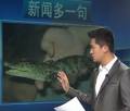 孝順大學(xué)生網(wǎng)購(gòu)鱷魚送父母