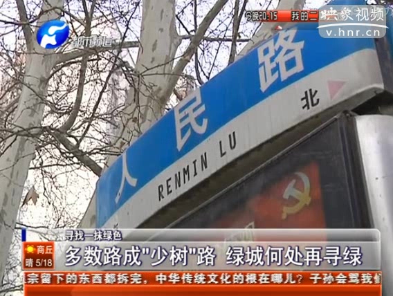 少數(shù)路成“少樹(shù)”路 綠城何處再尋綠